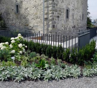 Hedging plants provide a border around the Comturey Tower. Even after only one vegetation period, plant growth is lush. Hedging plants provide a border around the atria